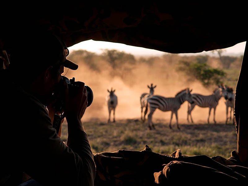 Wildlife photographer in a hide