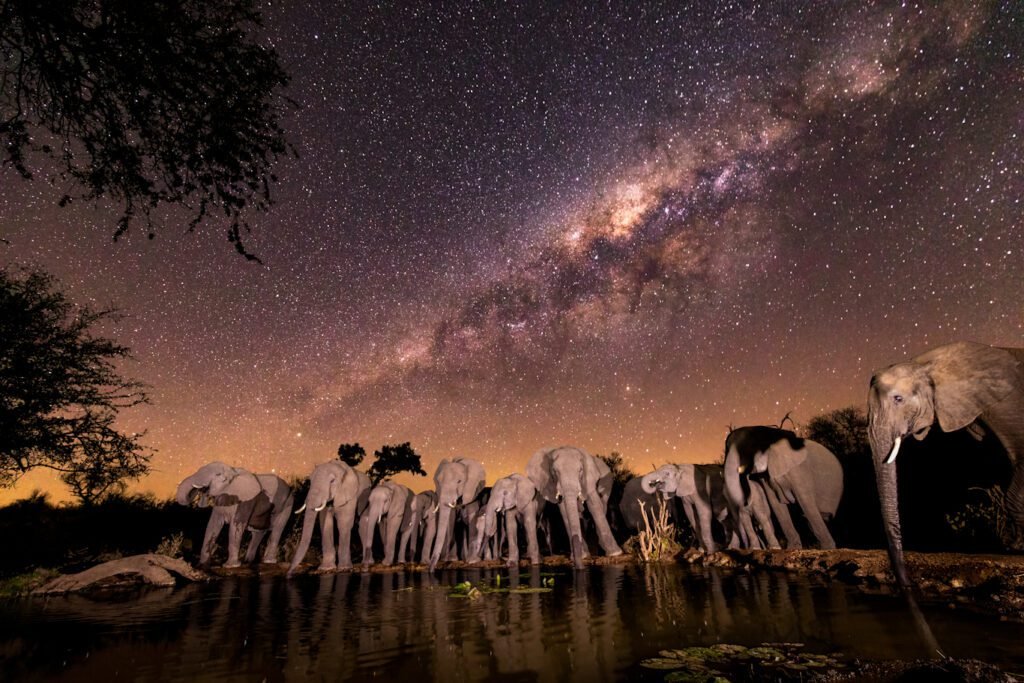 ellies-under-the-milky-way-web-use_edited-1-5