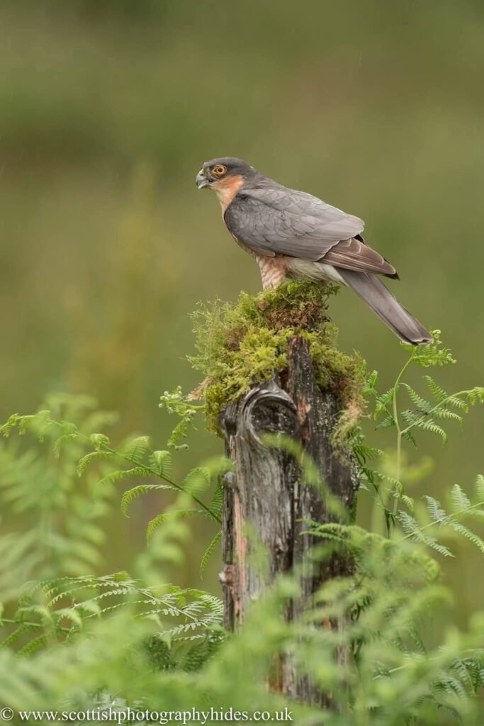 FB_IMG_1771681329944